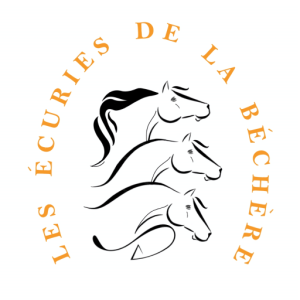 Les Écuries de la Béchère - Centre équestre à Romilly-sur-Seine