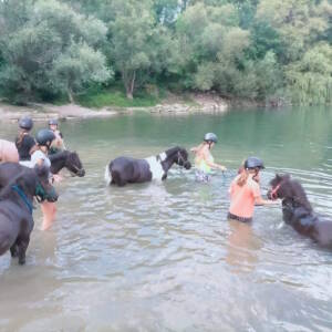 Balade à cheval dans la rivière