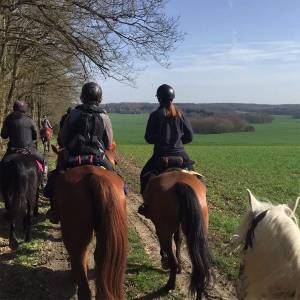 Balade à cheval dans les champs